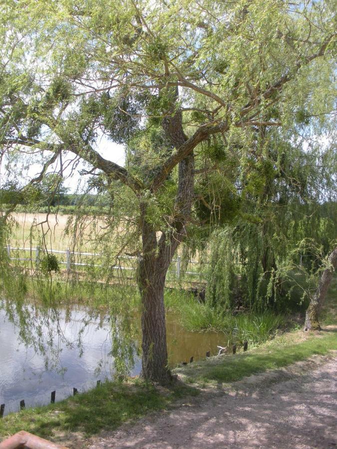 לינה וארוחת בוקר Montbeugny Le Domaine Du Mijarnier מראה חיצוני תמונה