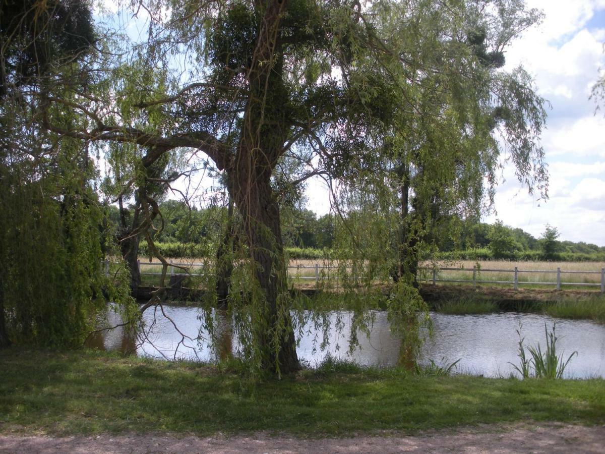 לינה וארוחת בוקר Montbeugny Le Domaine Du Mijarnier מראה חיצוני תמונה
